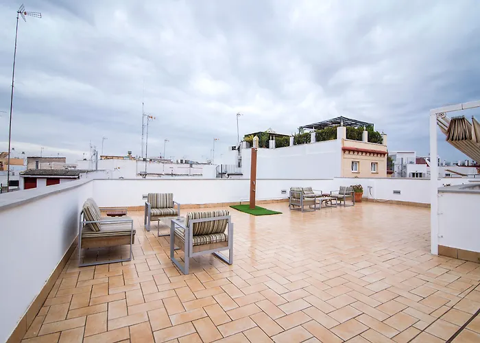 Dog friendly hotels Petit Palace Marques Santa Ana